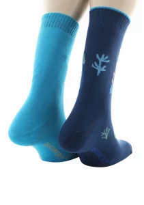 Chaussettes Réversibles Tortue Bleu – Image 4